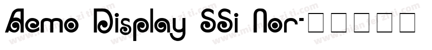 Acmo Display SSi Nor字体转换